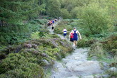 ... and down through the woods to Lonsdale farm - photo: Rob