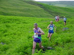 Geoff Davis, fresh from his 50 at 50, leads this group through the bracken (photo: Pat Dunn)