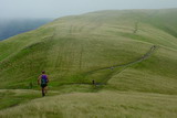 Lewis Grundy pursues Dexter on the return run to Winder - photo: Pat