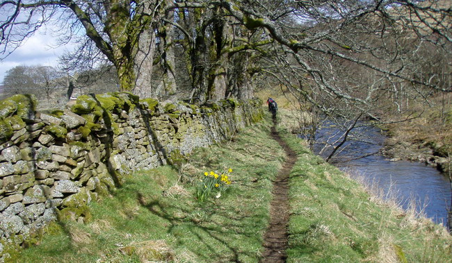 a different day altogether on the banks of the East Allen - photo: Rob