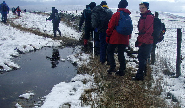 walkers negotiate a boggy bit - photo: Rob