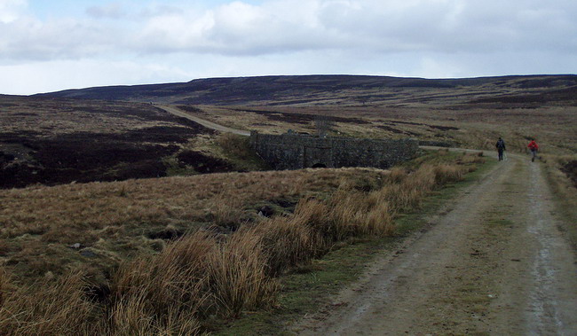 the Long Drag up to Sinderhope Carrs  - photo: Rob