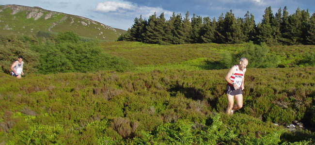 bathed in evening sun, the trod to Ravens Heugh - photo: Rob