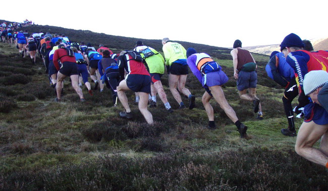 Scald Law slog - photo: Rob