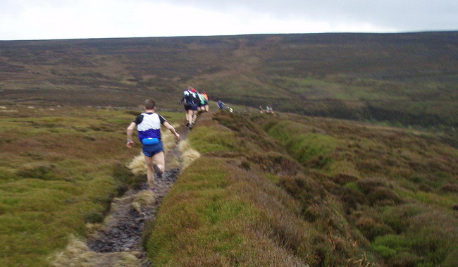 narrow paths - photo: Rob