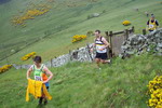 a yellow moment as the rain and cloud abate - photo: Rob